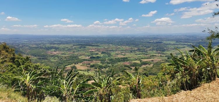 Da Camel Peak, Coffee and Resto Bar, Mabinay Mountain View