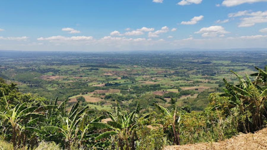 Da Camel Peak, Coffee and Resto Bar, Mabinay Mountain View