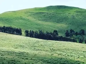Mile 4 park