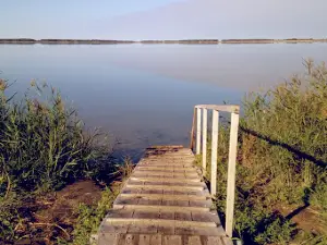 Turbaza "Ozero Gor'koye"'