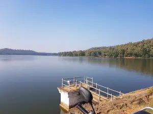 Ari Lake