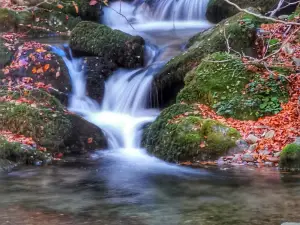 Paseo del río Usaya (Siete Puentes)