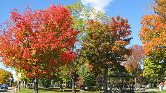 Town Park Bandstand