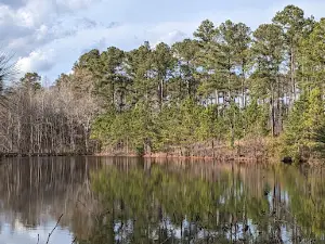 Bartram Forest Wildlife Management Area
