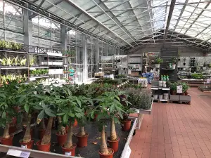 Plantagen