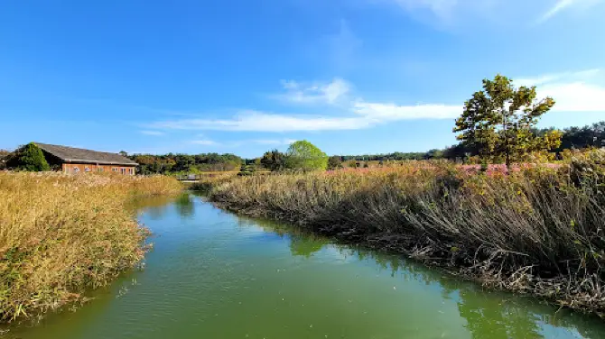 茁浦滿山坡生態公園