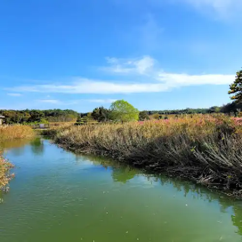茁浦滿山坡生態公園