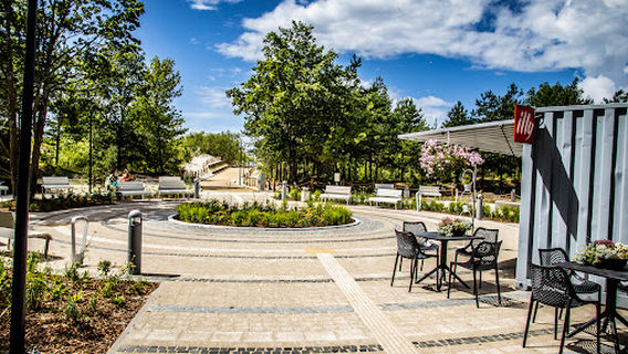 Spoku koks (Tree of Ghosts)