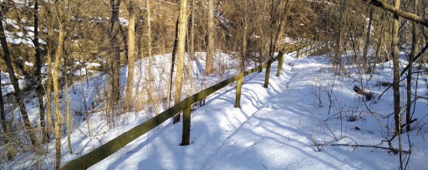Franklin Creek State Natural Area