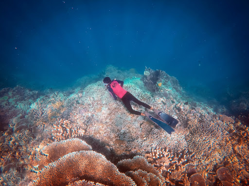 Bunaken Marine Park Tickets [2026] - Promos, Prices, Reviews