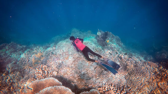 Bunaken Kepulauan