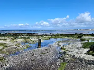 Barassie Beach