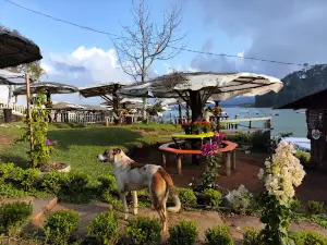 Presa de Tenango de las Flores