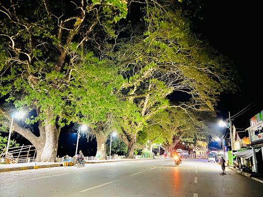Mandalay to Bhamo Flights