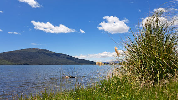 Lake Rotoaira - Southern Access Point
