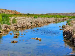 Spring Canyon