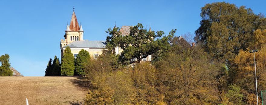 Stadion Sântămăria Orlea