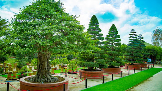 Sa Dec Ornamental Flower Tourist Area