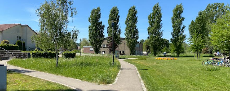 Schozachaue