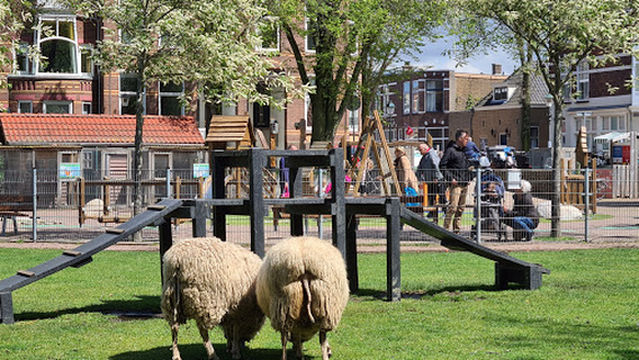 Stadsboerderij 't Waaygat