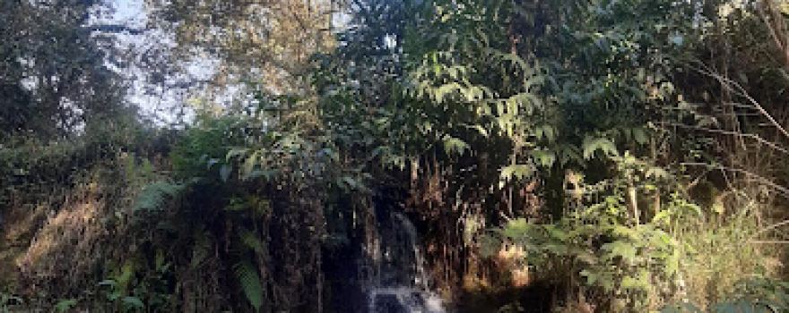Cachoeira Marani
