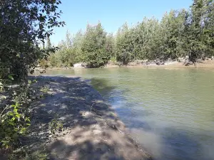 Tok River State Campground