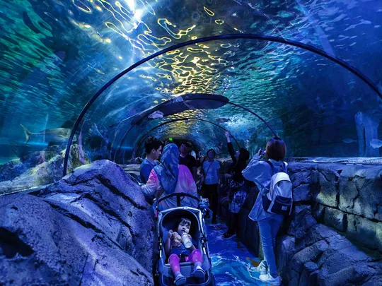 5_SEA LIFE Sydney Aquarium