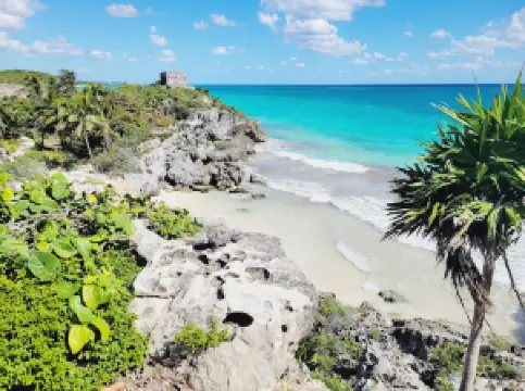 Popular Spring Outings in Tulum