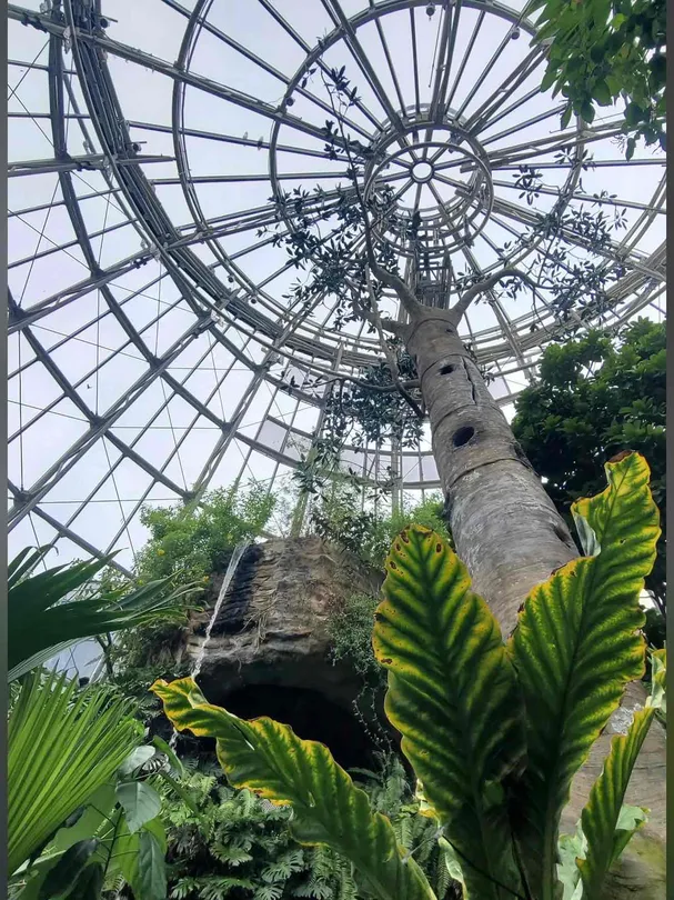 2_Houston Museum of Natural Science