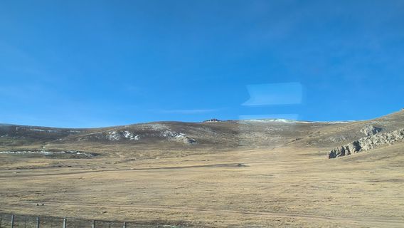 zhuo gui re ya xia ma