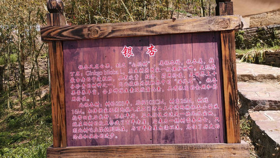 Jianshi