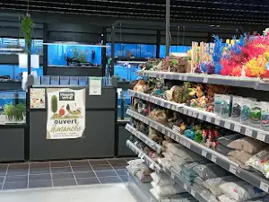 Magasin Vert Brest Kergaradec