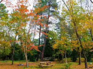 Sarıgazel Nature Park