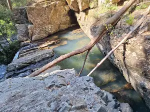 Bangalore Falls walking track