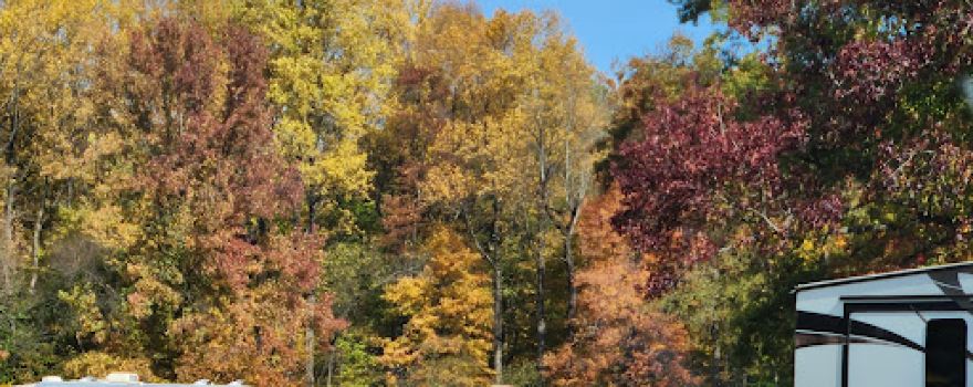 Turkey Run Canoe & Camping