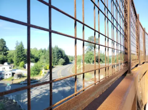 Willapa Hills State Park Trail - Adna Trailhead