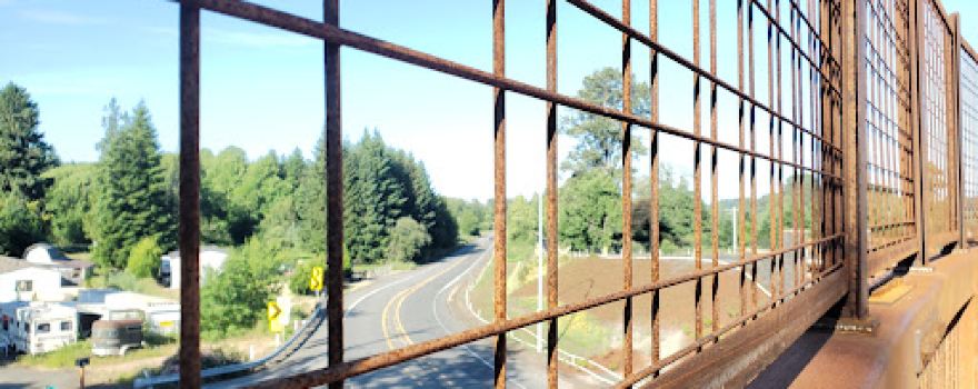 Willapa Hills Trail - Adna Trailhead