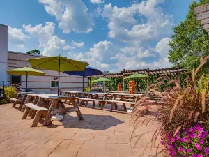 Center of the Universe Brewing Company