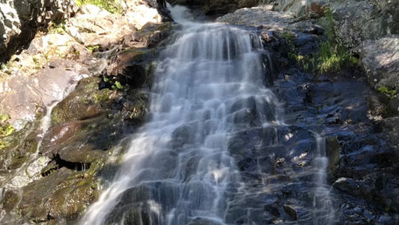 Alpine Cascades