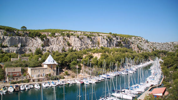 Cassis