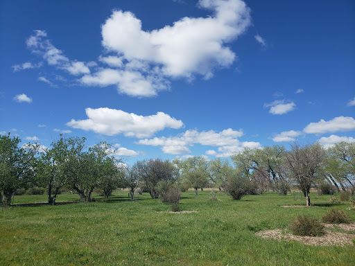 High Plains Arboretum – a Cheyenne Botanic Gardens and Urban Forestry project