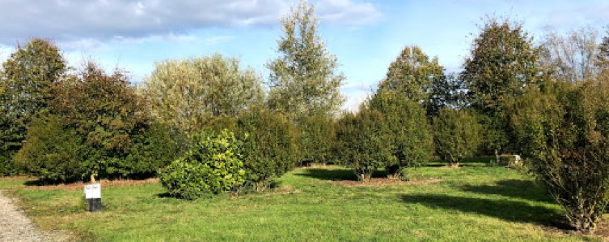 Camping Le P'tit Bonheur