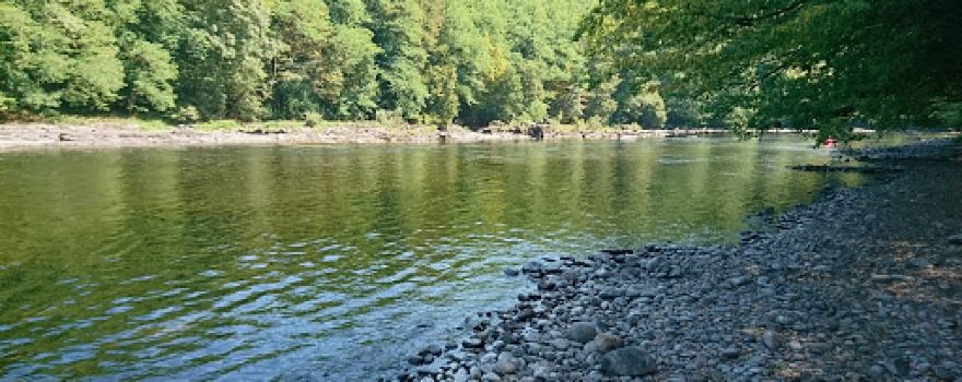 Camping Old Mill