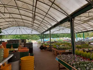 Dobbies Garden Centre Telford