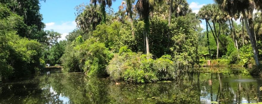 Bok Tower Gardens