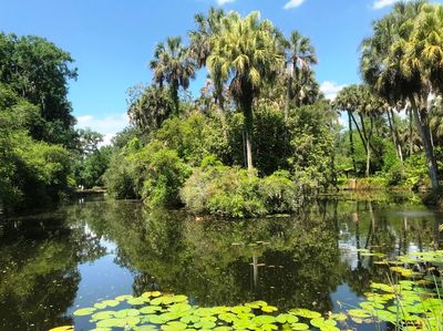 Bok Tower Gardens