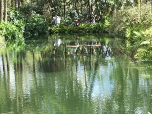 Bok Tower Gardens
