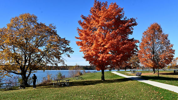 Stony Creek Metropark