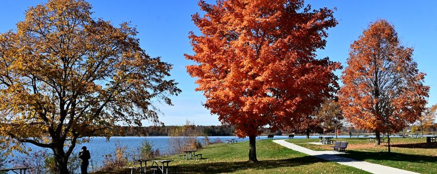 Stony Creek Metropark
