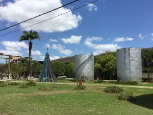 Cachaca Museum